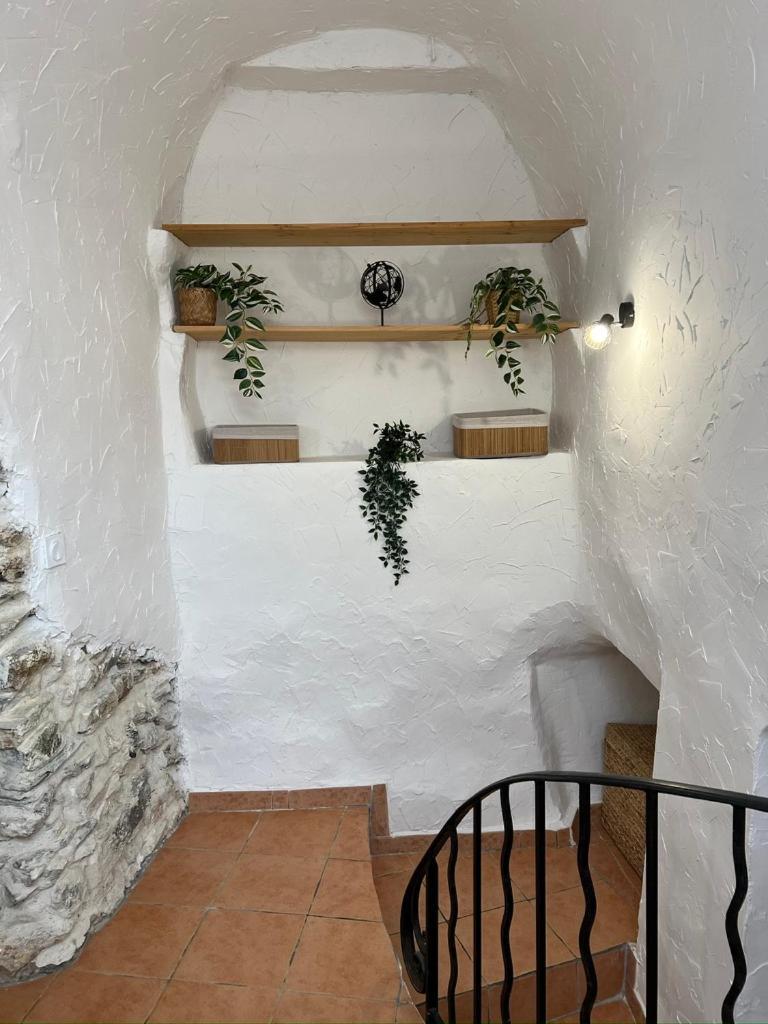 Nid Douillet A Appartement Hyères